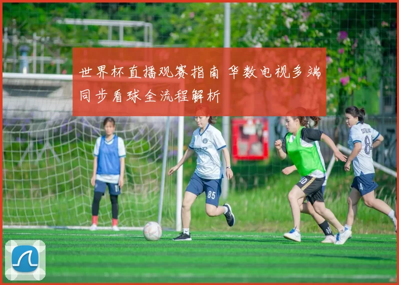 世界杯直播观赛指南 华数电视多端同步看球全流程解析